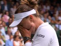 AYX-包含科维托娃遭遇十连败，切尔西教练面临压力！的词条