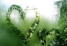 爱游戏体育- 降维打击到底有多可怕 